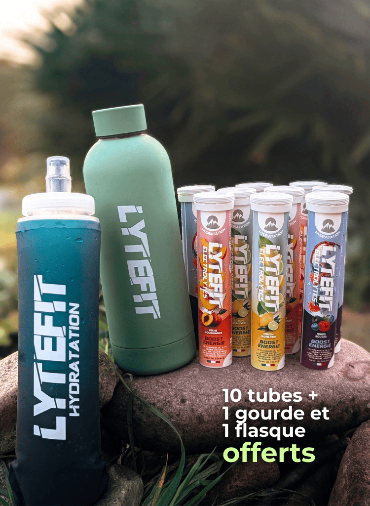 Pack Fêtes de Fin d'Année