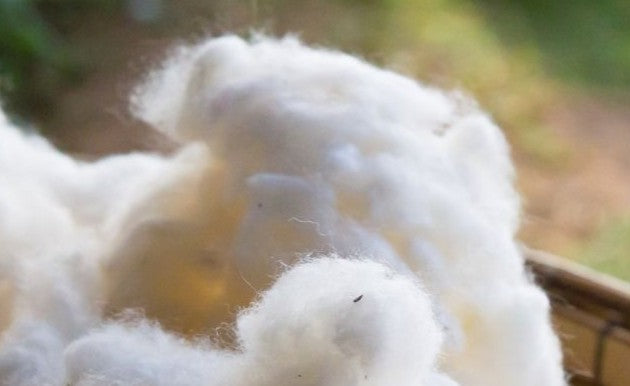 Bannière promotionnelle